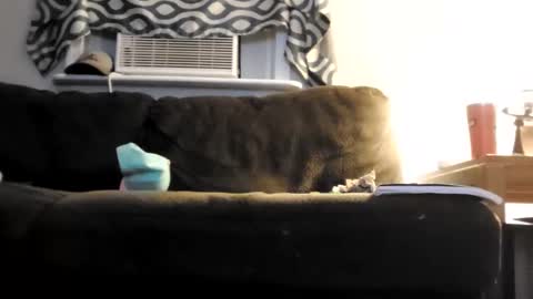 sayhi2mylilguy online show from February 25, 5:41 am