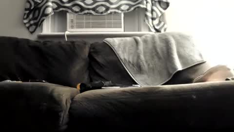 sayhi2mylilguy online show from March 9, 8:07 am