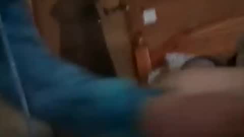 scamp12 online show from October 21, 11:11 am