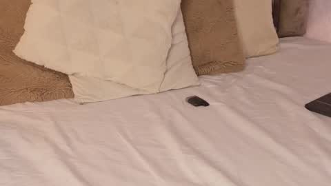 Scarleth  online show from October 16, 6:14 am