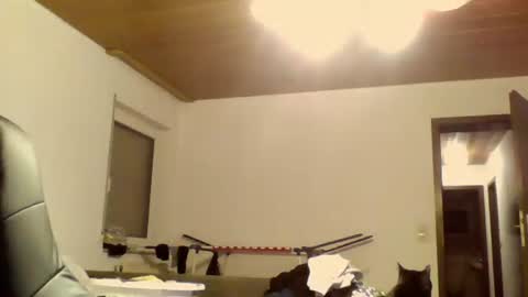 Snapshot of schnibschnab chatting on October 9, 11:47 pm schnibschnab online show from October 9, 11:47 pm