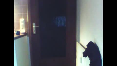 schnibschnab online show from February 27, 2:11 am