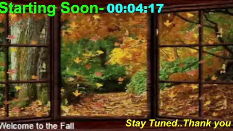 Snapshot of scifidiscoguy chatting on September 11, 12:11 am ...PHIL... online show from September 11, 12:11 am