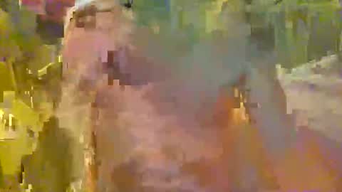 scoutiii online show from November 21, 6:01 am