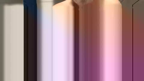 sdriv33390317 online show from March 30, 11:22 am