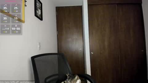 Snapshot of seahotseason chatting on December 19, 12:39 am Aria Independent model online show from December 19, 12:39 am