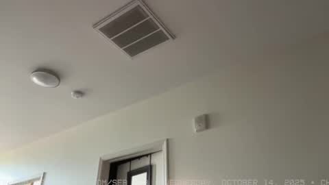 Snapshot of seb_tv chatting on October 15, 6:08 pm Sebastian online show from October 15, 6:08 pm