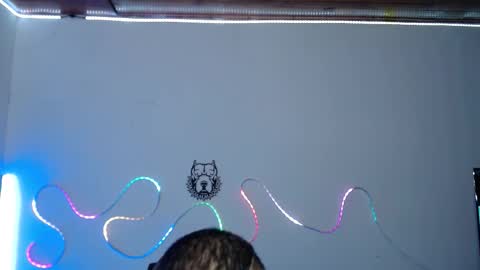 Sebastian online show from January 14, 6:30 am