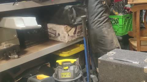 Snapshot of seeker404 chatting on January 1, 9:17 am Seeker online show from January 1, 9:17 am