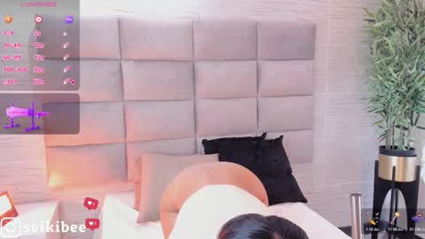 seikibee online show from February 21, 4:24 am