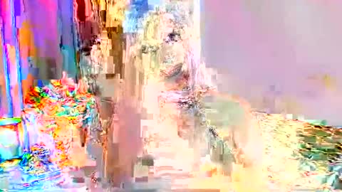 Snapshot of selenashemale chatting on September 24, 1:31 am Selena online show from September 24, 1:31 am