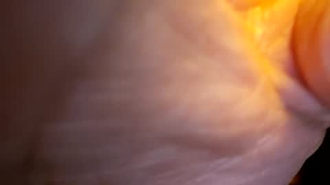 Snapshot of senor49509 chatting on November 27, 2:02 am senor49509 online show from November 27, 2:02 am