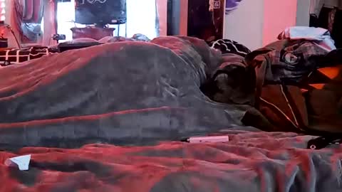 Snapshot of sevilxnatas chatting on January 29, 7:22 pm Sydney Mae online show from January 29, 7:22 pm