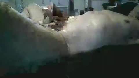 Snapshot of sexboy1437 chatting on November 24, 10:15 am sexboy1437 online show from November 24, 10:15 am