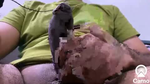 sexmachine4ubabes online show from December 9, 3:50 am