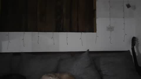 Snapshot of sexnchocolate chatting on January 11, 5:41 am Trixy Rose online show from January 11, 5:41 am