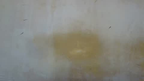 sexy_candy9 online show from November 12, 8:59 am