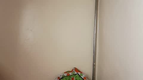 joy online show from March 14, 2:00 pm