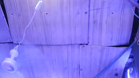 sexy_margaret7 online show from November 23, 4:34 am