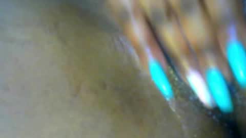 Lisa online show from November 19, 12:49 pm