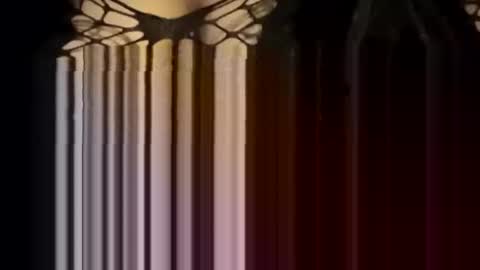 Forever Erotica online show from January 12, 4:23 pm