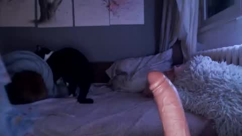     .... ............ Onlyfans   online show from February 21, 10:04 pm