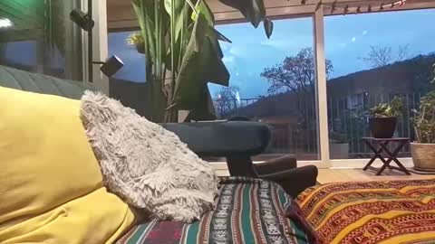 sexylover81ch online show from April 12, 6:13 pm