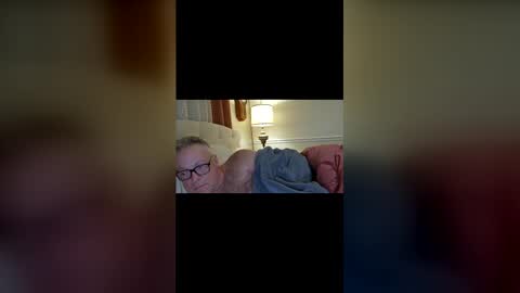 Raymond Art Model online show from April 8, 3:06 am