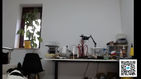 Snapshot of sexymuscle26 chatting on February 4, 2:32 pm Adrian online show from February 4, 2:32 pm