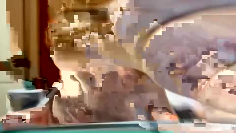 Snapshot of sexyy_red08 chatting on November 2, 6:49 am sexyy_red08 online show from November 2, 6:49 am