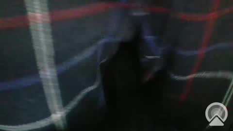 Snapshot of sgtcumhardjaxfl chatting on February 6, 6:02 pm sgtcumhardjaxfl online show from February 6, 6:02 pm