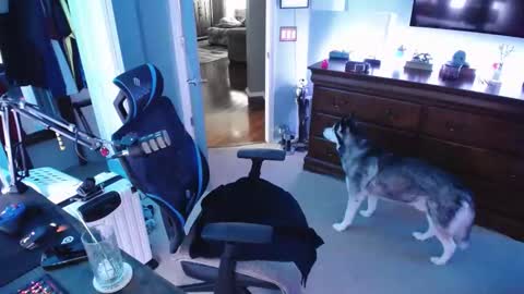 shaftyone4u online show from January 16, 9:40 pm