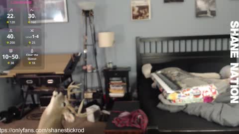 shanestickrod online show from November 18, 4:50 am