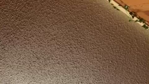 shaytin0 online show from December 20, 4:47 pm