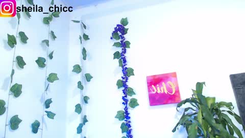 Snapshot of sheila_bigcok chatting on December 9, 10:52 pm SHEILA online show from December 9, 10:52 pm