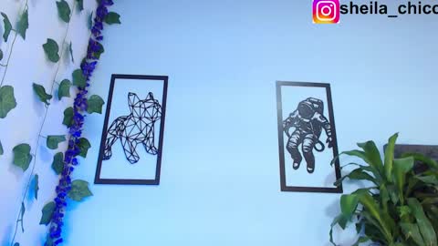 Snapshot of sheila_bigcok chatting on February 26, 2:25 pm SHEILA online show from February 26, 2:25 pm