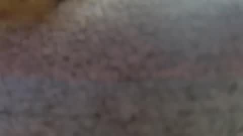 Snapshot of shelikessoymilk chatting on February 25, 9:24 pm Erika online show from February 25, 9:24 pm