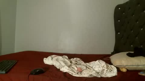 Shi-ro online show from February 7, 10:52 am