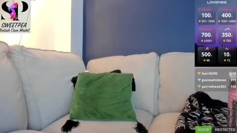 short sweetpea online show from December 9, 8:54 pm