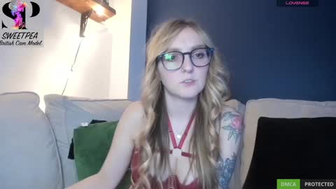 short sweetpea online show from December 16, 6:38 pm