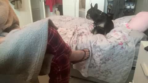 Snapshot of shyboy0533 chatting on November 3, 10:49 am shyboy0533 online show from November 3, 10:49 am