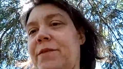 Bush with a class 3 rating online show from April 23, 5:48 pm