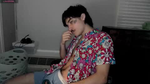 Snapshot of silly_cybin chatting on January 12, 12:55 pm cybin online show from January 12, 12:55 pm