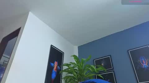 silvabranko online show from November 26, 12:11 am