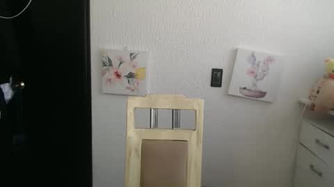 Snapshot of silvanaroberts_ chatting on December 16, 3:39 pm Rouse online show from December 16, 3:39 pm