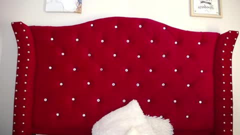 Snapshot of silvia_ls chatting on February 16, 4:42 pm silvia_ls online show from February 16, 4:42 pm