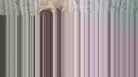 Snapshot of simontupin1973 chatting on December 17, 1:33 am simontupin1973 online show from December 17, 1:33 am