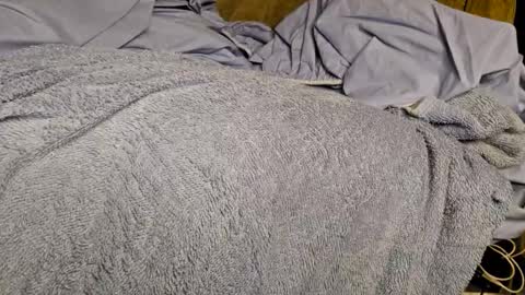 Sinseason online show from December 3, 9:22 am