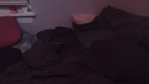 SisLIv online show from November 20, 7:19 am