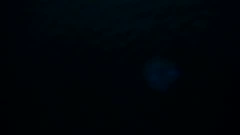 Skarlet online show from October 8, 2:20 am